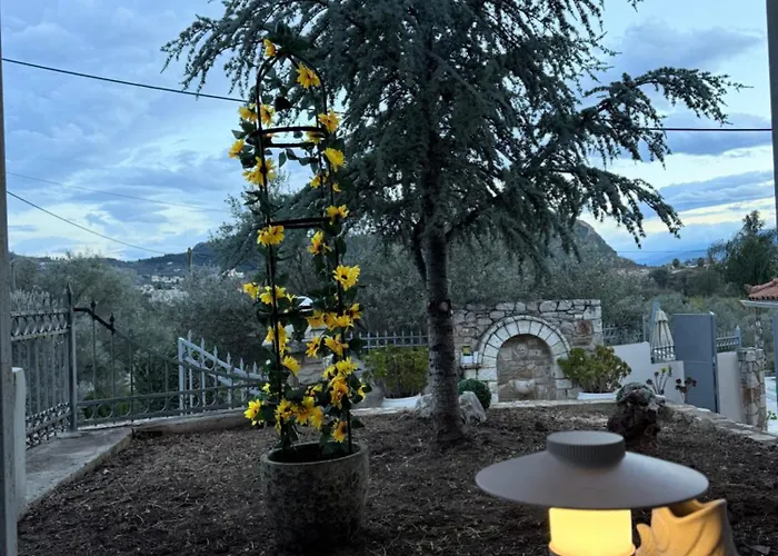 Kır Evi Blue Topaz Mini Pool *